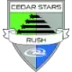 Logo Cedar star